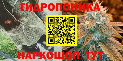 мяу мяу мука Заволжье