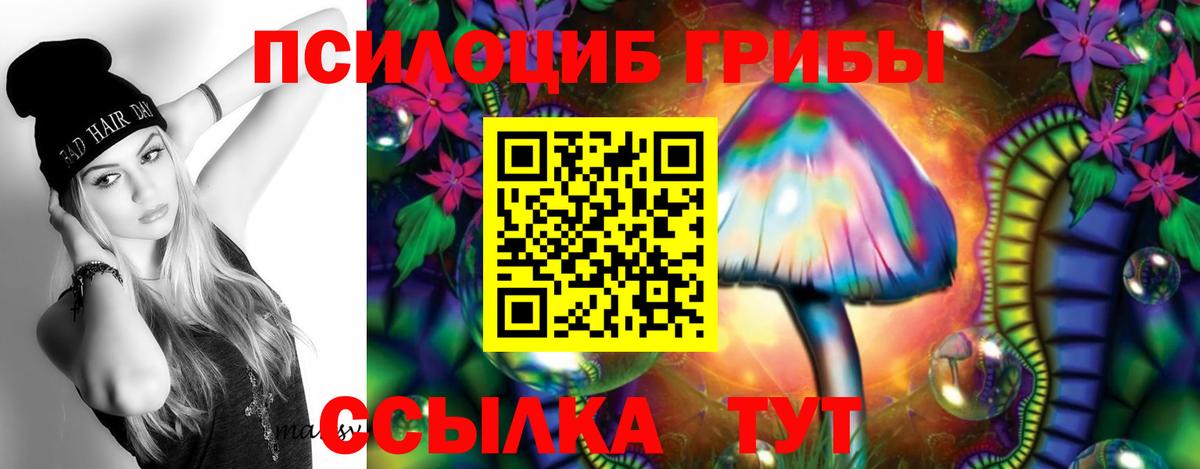 Галлюциногенные грибы Psilocybe Кыштым