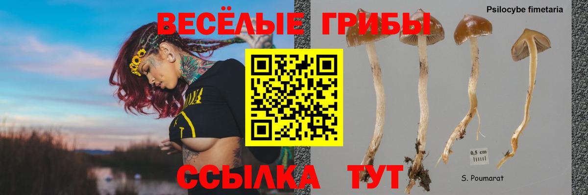 Псилоцибиновые грибы Magic Shrooms  Вход с VPN  Кыштым 